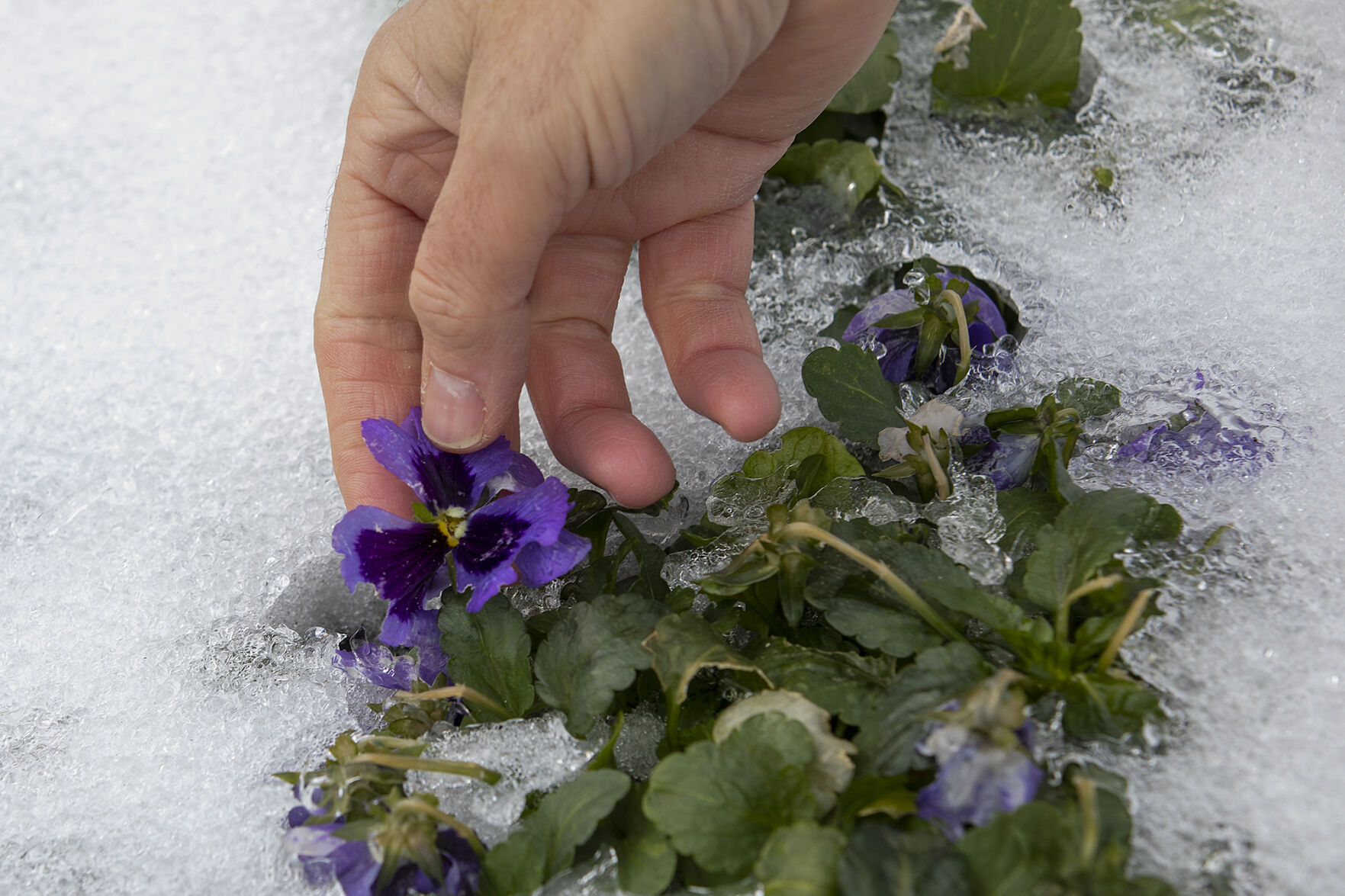 Winter weather